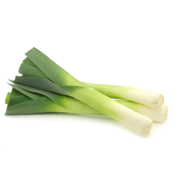 Western Leek ポロネギ (2pcs) – FarmFresh Japan