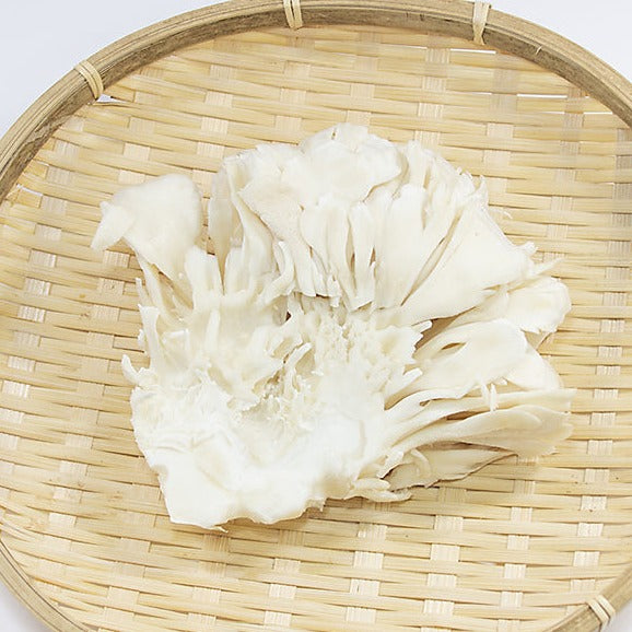 White Maitake Mushroom 白舞茸 (1pack) FarmFresh Japan