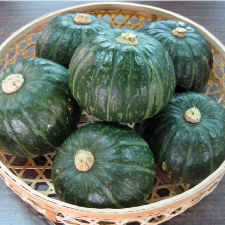 Mini Kabocha Squash ミニカボチャ