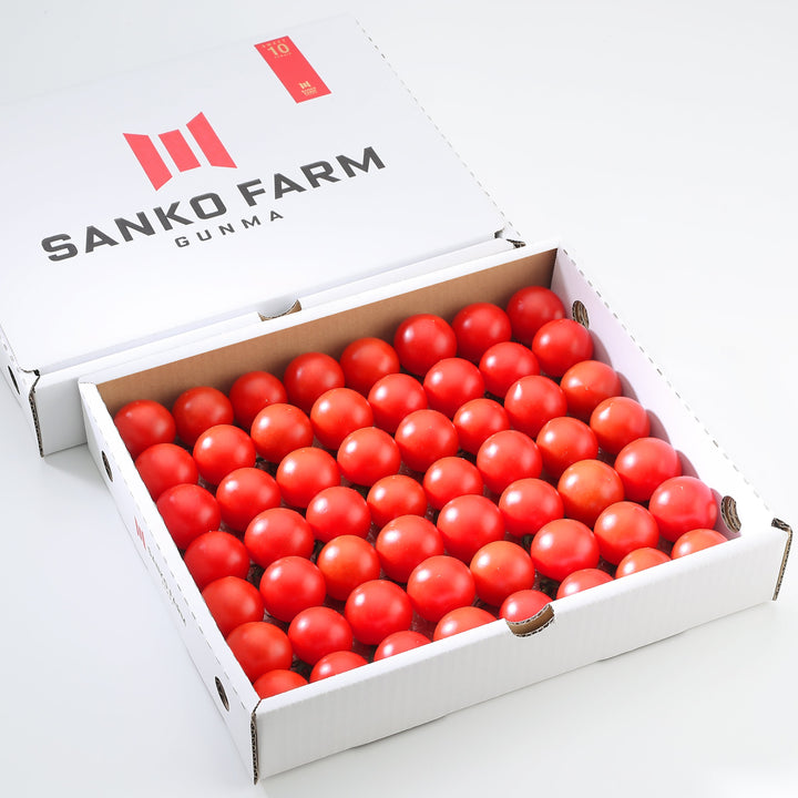 SWEET10 Mini Tomato