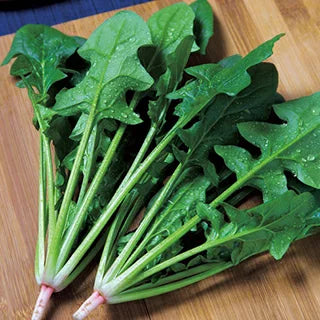Japanese Spinach 日本ほうれん草 (1pack)
