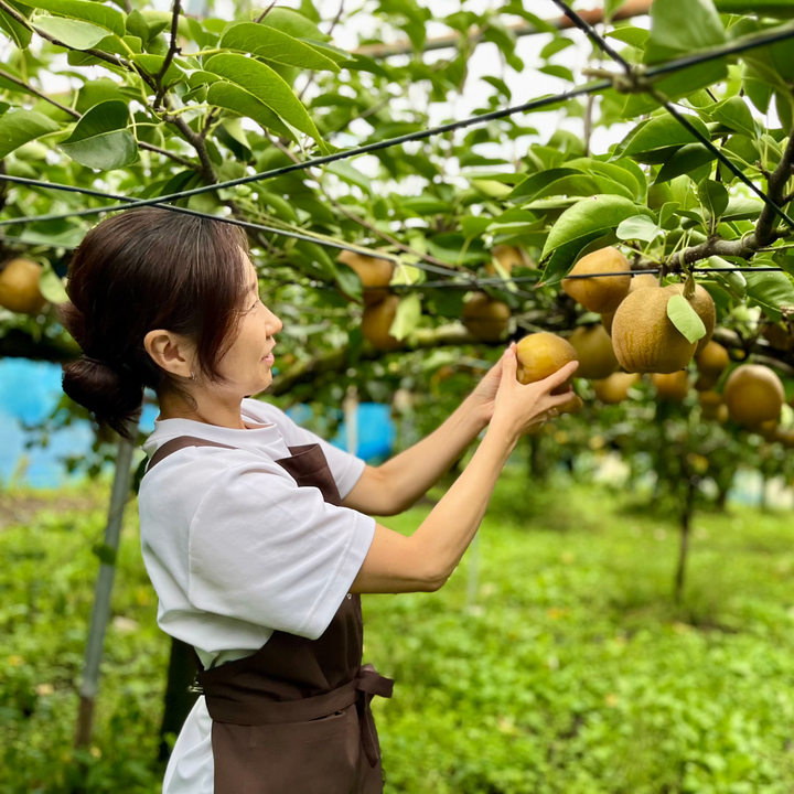 Seasonal Jumbo Pear from Shigeru Farm