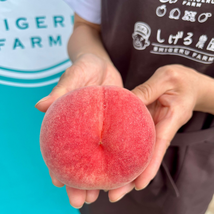 【PRE-ORDER】Shigeru Farm's Fresh Peach