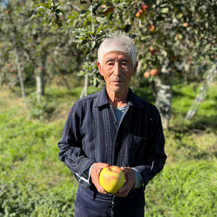 Mr. Shigeharu's Apple