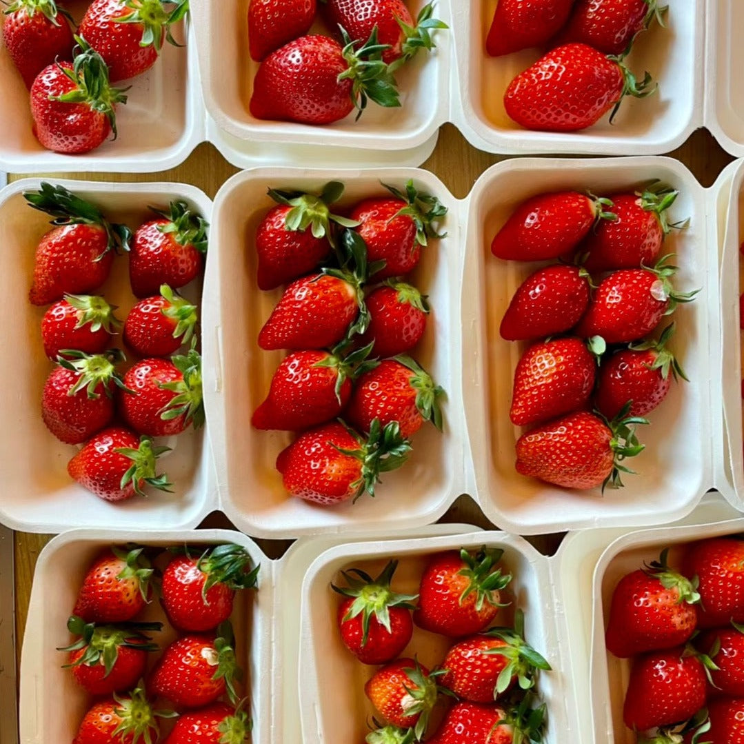 Yayoihime Strawberry いちご (1pack)