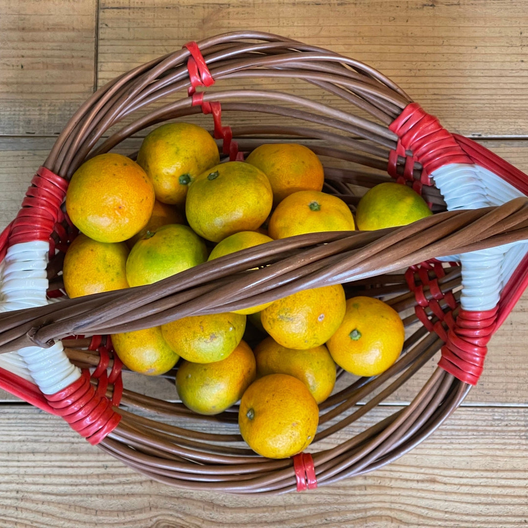 Mandarin みかん (4pcs)