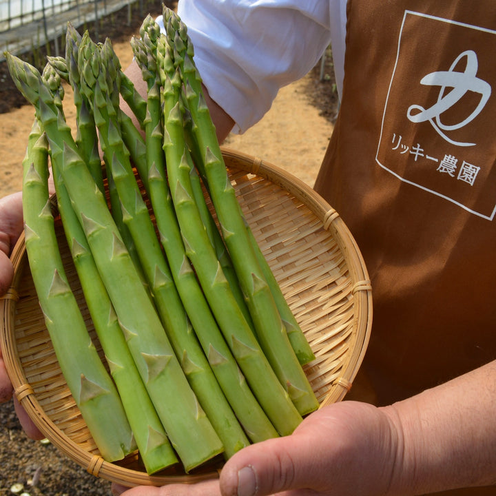 Fresh Asparagus from Ricky Farm