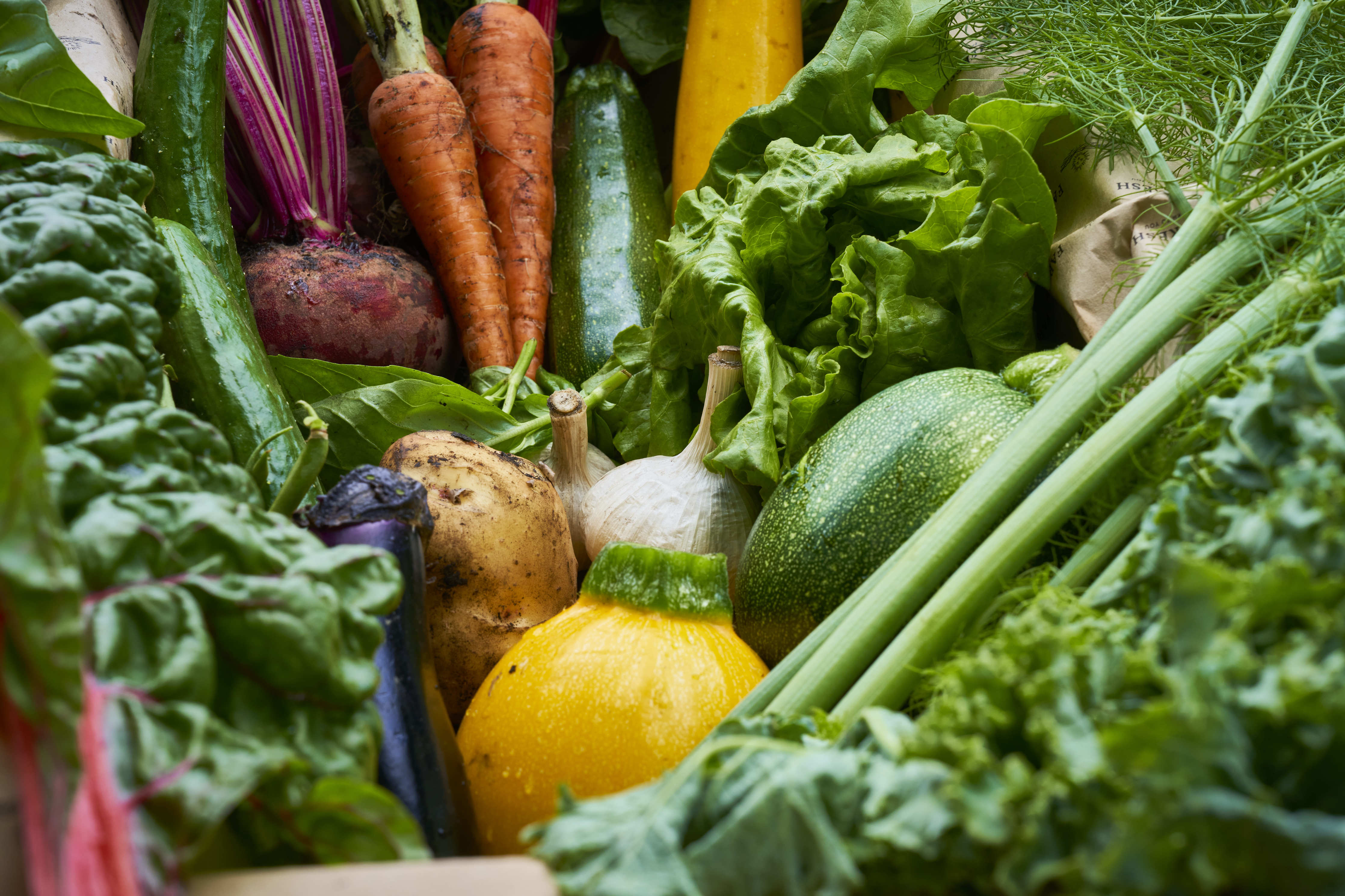 FARMFRESH DIRECT FARM DELIVERY SERVICE FarmFresh Japan