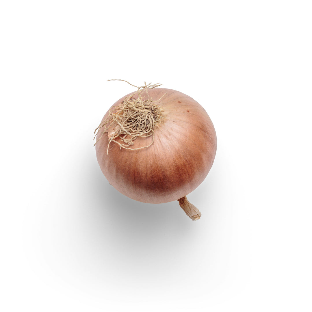 Organic Fresh Onion 有機新玉ねぎ