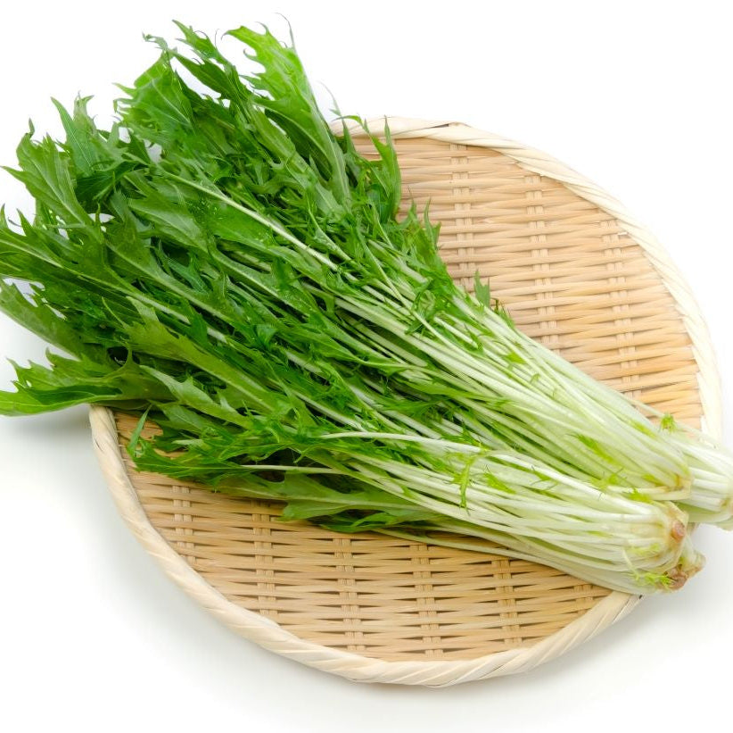 Mizuna Greens 水菜 (1pack)